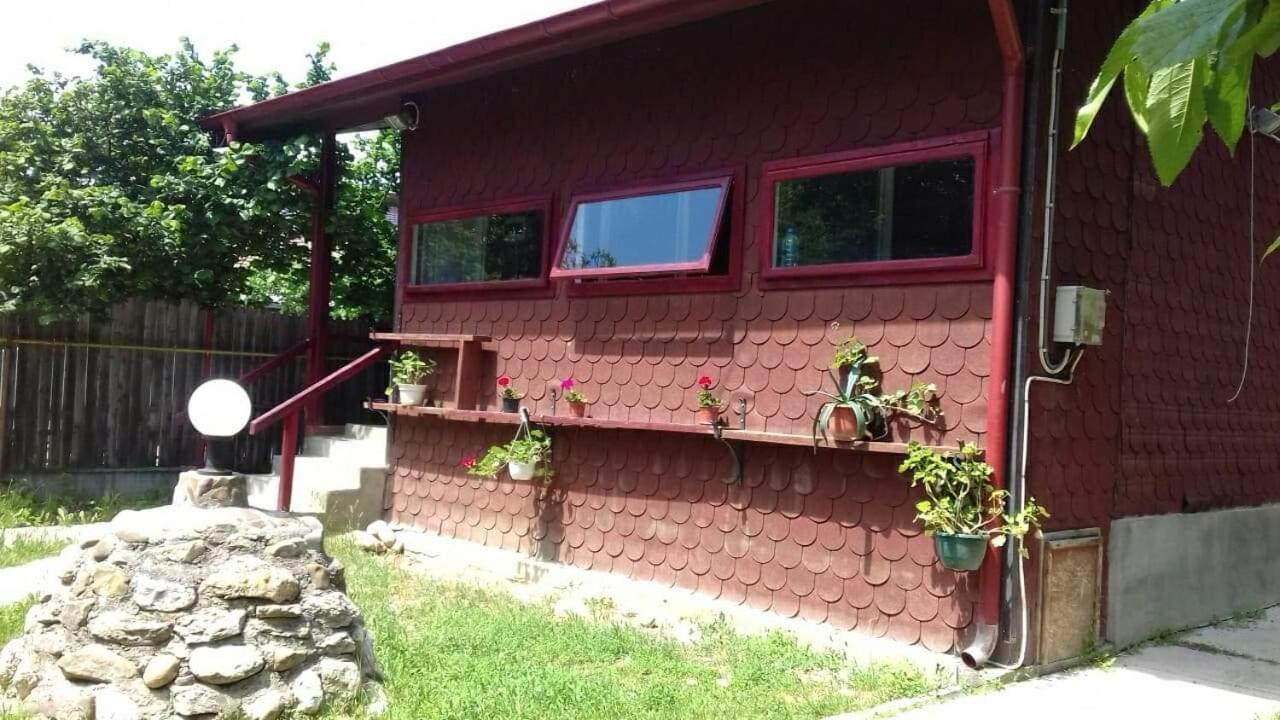 Canadian House Sărata-Monteoru Eksteriør bilde